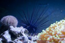 20160304-_LEX3901.jpg