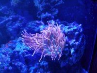 20160508_094324.jpg