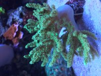 IMG_7283[2].JPG