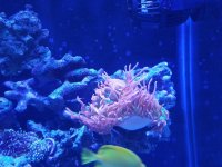 20160508_094339.jpg