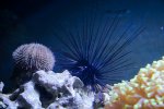 20160304-_LEX3910.jpg