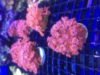 IMG_2798.jpg