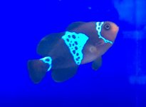 IMG_0678.jpg