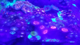 20170324_153831.jpg