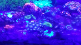 20170324_153839.jpg