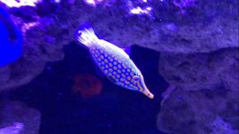 IMG_8935.jpg