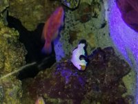 20170605_185033.jpg