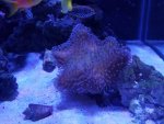 20160508_110843.jpg