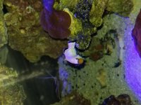 20170605_185055.jpg