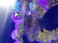 20170605_185046.jpg
