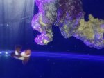 20170605_185044.jpg