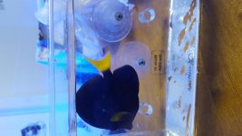 20170605_192224.jpg