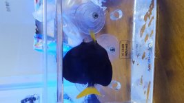 20170605_192219.jpg