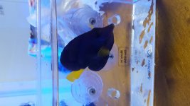 20170605_192221.jpg
