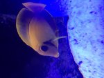 IMG_1645.jpg