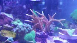 20160208_153135.jpg