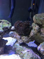 IMG_0279.jpg