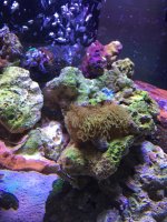 IMG_0280.jpg