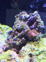 IMG_0282.jpg