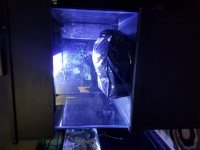 20170322_182103.jpg