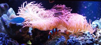 IMG_0073.JPG