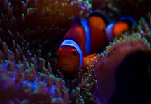 IMG_0071.jpg