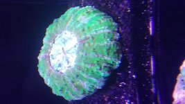 20170124_110224.jpg