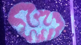 20170124_110213.jpg