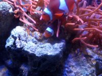 IMG_0049.JPG