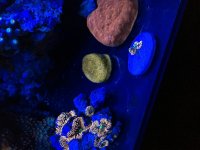 IMG_0940.jpg