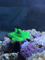 IMG_0286.jpg