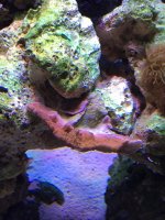 IMG_0287.jpg