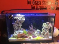 IMG_0133.jpg