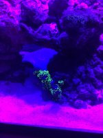 IMG_0290.jpg