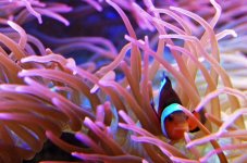 IMG_0072.JPG