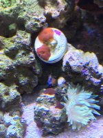 IMG_0316.jpg