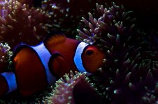 IMG_0077.JPG