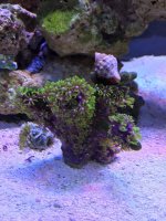 IMG_0313.jpg