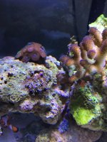 IMG_0311.jpg