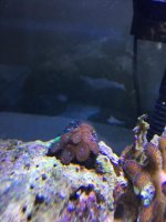 IMG_0310.jpg