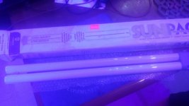 20170326_113549.jpg