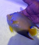 20160512_113013.jpg