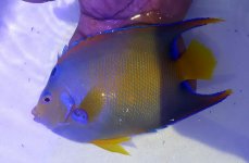 20160512_112928.jpg