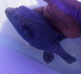 20160512_112736.jpg