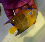 20160512_112617.jpg