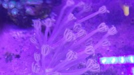 20170324_152548.jpg