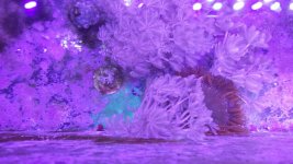 20170324_153030.jpg