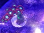 20161015_214702.jpg