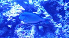 20170128_101836.jpg