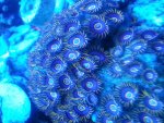 20160308_184134.jpg
